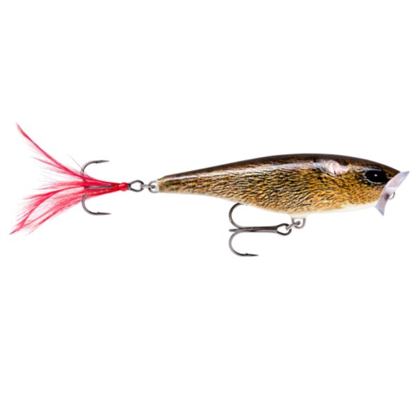 Rapala Skitter Pop 7cm Popper Lure Live Field Mouse