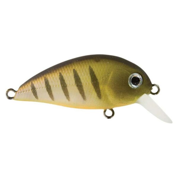 Atomic Hardz Crank 38 Mid Diver Lure Prawn Tiger