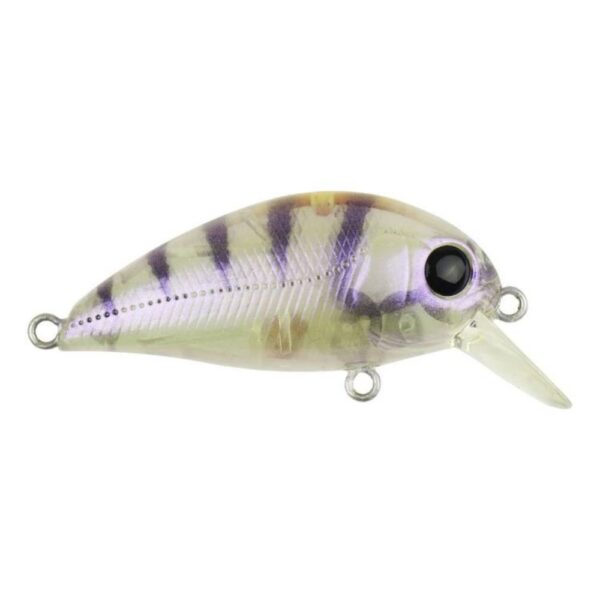 Atomic Hardz Crank 38 Mid Diver Lure Purple Shadow