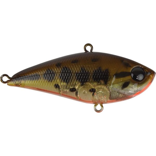 Atomic Hardz Vib 60 Rattle Vibe Lure Ghost Brown Shad