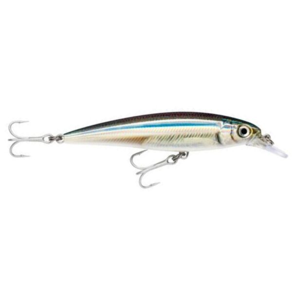 Rapala Saltwater X-Rap 10cm Hardbody Lure Anchovy