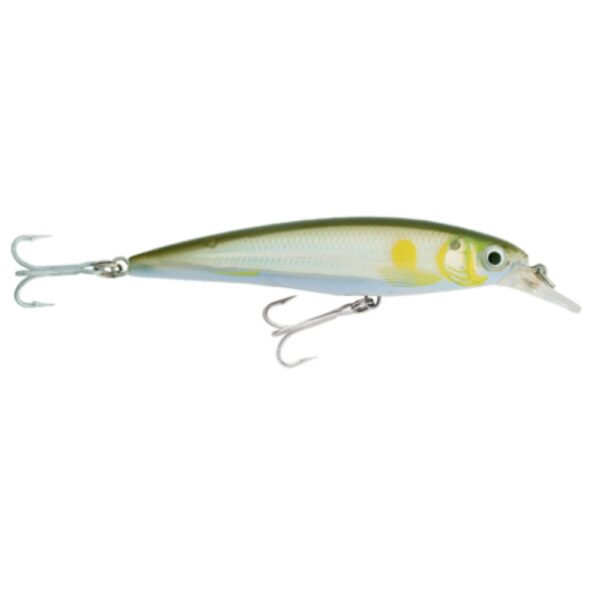 Rapala Saltwater X-Rap 10cm Hardbody Lure Ayu