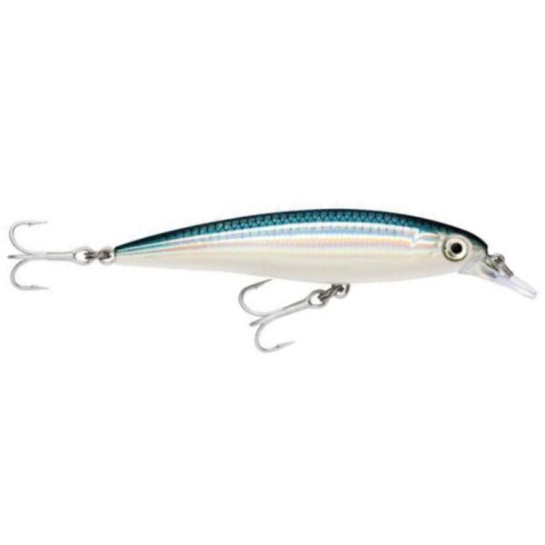 Rapala Saltwater X-Rap 10cm Hardbody Lure Baitfish