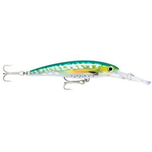 Rapala X-Rap Magnum 20cm Hardbody Lure