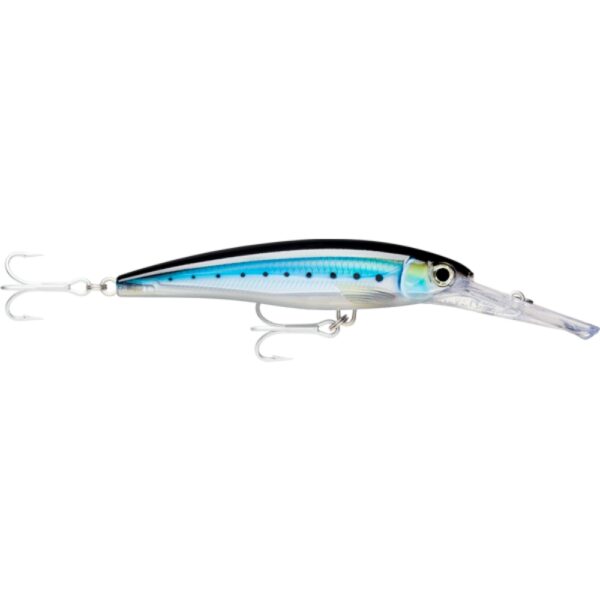 Rapala X-Rap Magnum 20cm Hardbody Lure HD Blue Sardine