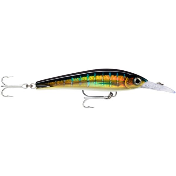 Rapala X-Rap Magnum X-Etreme 16cm Hardbody Lure HD Sailfish