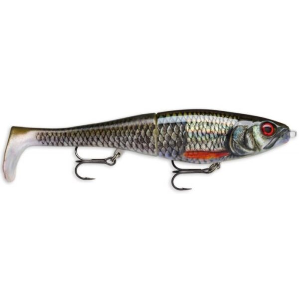 Rapala X-Rap Peto 20cm Hybrid Lure Live Roach