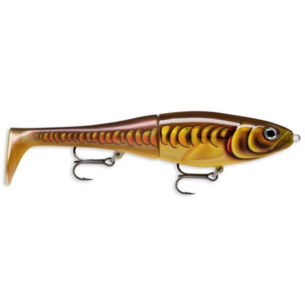 Rapala X-Rap Peto 20cm Hybrid Lure Mirror Carp