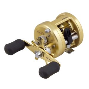 Shimano Calcutta B Baitcast Reel