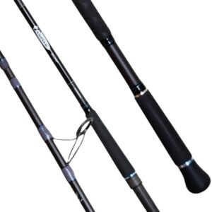 Shimano T Curve Surf Rod