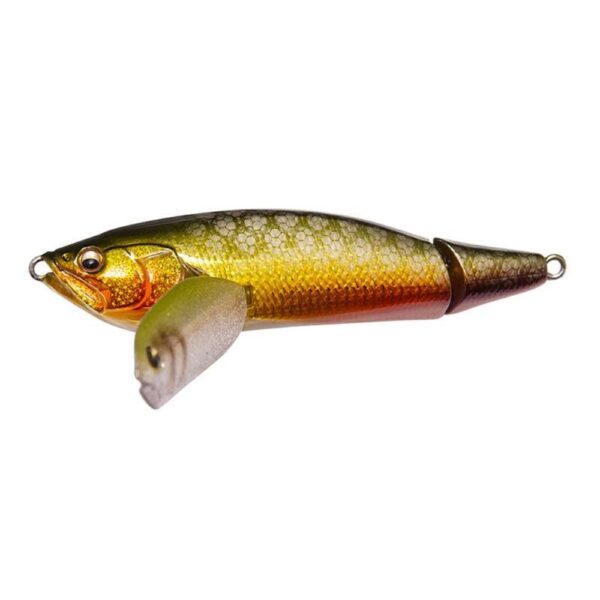 Megabass I-Wing Triple Fry Surface Lure GG Dourado