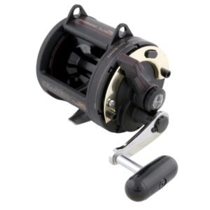 Shimano TLD 25 Overhead Reel