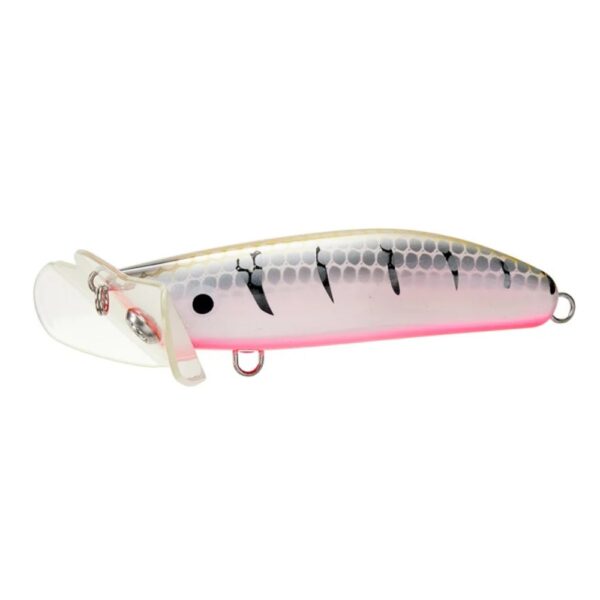 Yakamito Live Native Skuttlebutt Surface Lure Witchiti