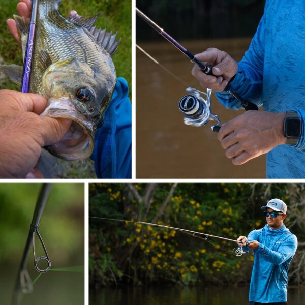 Shimano Ascenza Spin Rod Example