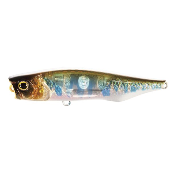 Shimano Bantam Ligen 66F Flash Boost Surface Lure S Oikawa