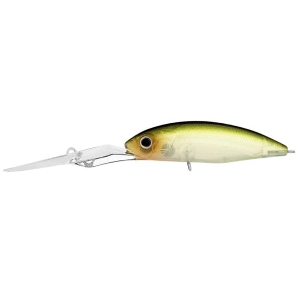 Daiwa Infeet Spike 53EXDR Hardbody Lure