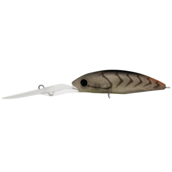 Daiwa Infeet Spike 53EXDR Hardbody Lure