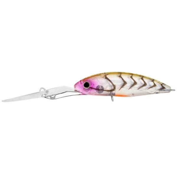 Daiwa Infeet Spike 53EXDR Hardbody Lure