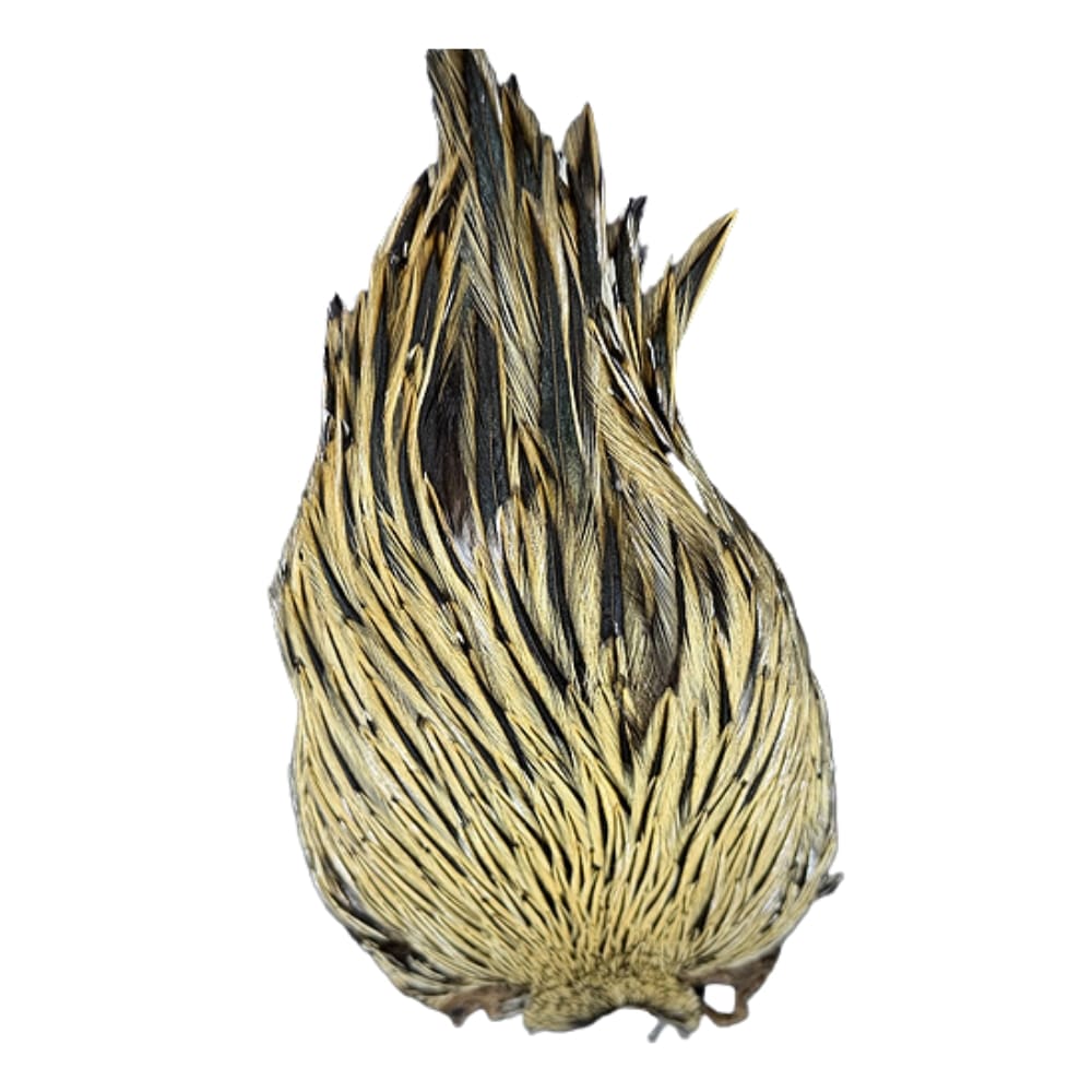 Wapsi Dry Fly Rooster Neck