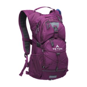 Teton Oasis 18 Hydration Daypack Plum