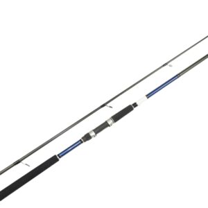 Daiwa Windcast Surf Fishing Rod