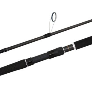 Shimano Anthem SW Jig Spin Rod